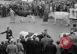 Standbild Kühe Sabetha Kansas USA, 1936, aus Sekunde 31 historischem Filmmaterial Videoclip 65675053235