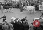 Standbild Kühe Sabetha Kansas USA, 1936, aus Sekunde 32 historischem Filmmaterial Videoclip 65675053235