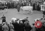 Standbild Kühe Sabetha Kansas USA, 1936, aus Sekunde 33 historischem Filmmaterial Videoclip 65675053235