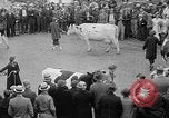 Standbild Kühe Sabetha Kansas USA, 1936, aus Sekunde 34 historischem Filmmaterial Videoclip 65675053235