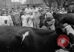 Standbild Kühe Sabetha Kansas USA, 1936, aus Sekunde 37 historischem Filmmaterial Videoclip 65675053235