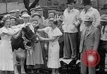 Standbild Kühe Sabetha Kansas USA, 1936, aus Sekunde 41 historischem Filmmaterial Videoclip 65675053235