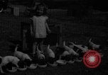 Immagine di Inglese Fox Terrier cuccioli Fort McPherson Georgia USA, 1940, secondo 11 filmato di repertorio 65675053251