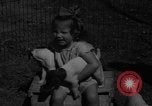 Immagine di Inglese Fox Terrier cuccioli Fort McPherson Georgia USA, 1940, secondo 28 filmato di repertorio 65675053251