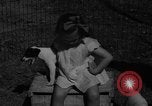 Immagine di Inglese Fox Terrier cuccioli Fort McPherson Georgia USA, 1940, secondo 30 filmato di repertorio 65675053251