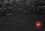 Image of bucking horses Los Angeles California USA, 1940, second 6 stock footage video 65675053253
