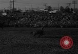 Image of bucking horses Los Angeles California USA, 1940, second 9 stock footage video 65675053253