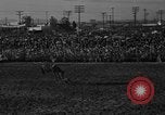Image of bucking horses Los Angeles California USA, 1940, second 10 stock footage video 65675053253