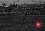 Image of bucking horses Los Angeles California USA, 1940, second 11 stock footage video 65675053253