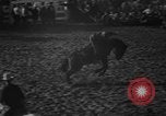 Image of bucking horses Los Angeles California USA, 1940, second 12 stock footage video 65675053253