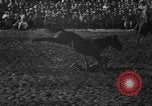 Image of bucking horses Los Angeles California USA, 1940, second 14 stock footage video 65675053253