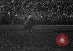 Image of bucking horses Los Angeles California USA, 1940, second 15 stock footage video 65675053253
