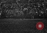 Image of bucking horses Los Angeles California USA, 1940, second 17 stock footage video 65675053253