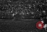 Image of bucking horses Los Angeles California USA, 1940, second 19 stock footage video 65675053253