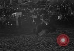 Image of bucking horses Los Angeles California USA, 1940, second 21 stock footage video 65675053253