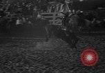 Image of bucking horses Los Angeles California USA, 1940, second 22 stock footage video 65675053253