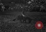 Image of bucking horses Los Angeles California USA, 1940, second 23 stock footage video 65675053253