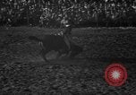 Image of bucking horses Los Angeles California USA, 1940, second 24 stock footage video 65675053253