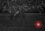 Image of bucking horses Los Angeles California USA, 1940, second 26 stock footage video 65675053253