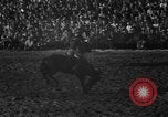 Image of bucking horses Los Angeles California USA, 1940, second 28 stock footage video 65675053253