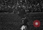 Image of bucking horses Los Angeles California USA, 1940, second 31 stock footage video 65675053253
