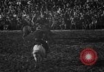Image of bucking horses Los Angeles California USA, 1940, second 32 stock footage video 65675053253
