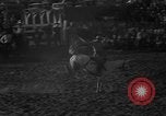 Image of bucking horses Los Angeles California USA, 1940, second 33 stock footage video 65675053253