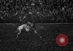 Image of bucking horses Los Angeles California USA, 1940, second 35 stock footage video 65675053253