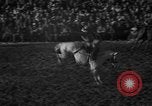 Image of bucking horses Los Angeles California USA, 1940, second 36 stock footage video 65675053253