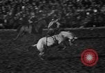 Image of bucking horses Los Angeles California USA, 1940, second 37 stock footage video 65675053253