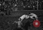 Image of bucking horses Los Angeles California USA, 1940, second 38 stock footage video 65675053253