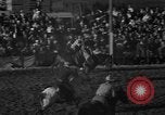 Image of bucking horses Los Angeles California USA, 1940, second 40 stock footage video 65675053253