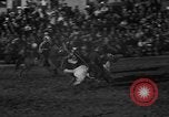Image of bucking horses Los Angeles California USA, 1940, second 42 stock footage video 65675053253