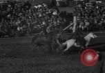 Image of bucking horses Los Angeles California USA, 1940, second 43 stock footage video 65675053253