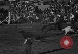 Image of bucking horses Los Angeles California USA, 1940, second 44 stock footage video 65675053253