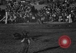 Image of bucking horses Los Angeles California USA, 1940, second 45 stock footage video 65675053253
