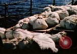 Image of Navy burial at sea Pacific Ocean, 1944, second 8 stock footage video 65675053282