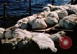 Image of Navy burial at sea Pacific Ocean, 1944, second 9 stock footage video 65675053282