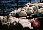 Image of Navy burial at sea Pacific Ocean, 1944, second 10 stock footage video 65675053282