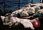 Image of Navy burial at sea Pacific Ocean, 1944, second 11 stock footage video 65675053282
