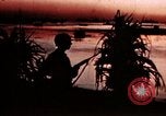 Image of War correspondent Pacific Theater, 1945, second 57 stock footage video 65675053287
