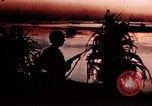 Image of War correspondent Pacific Theater, 1945, second 58 stock footage video 65675053287