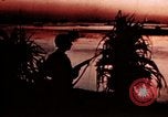 Image of War correspondent Pacific Theater, 1945, second 61 stock footage video 65675053287