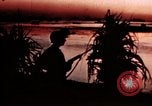 Image of War correspondent Pacific Theater, 1945, second 62 stock footage video 65675053287