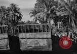Standbild Landung Handwerk mechanisierte Purata Bougainville Papua Neu Guinea, 1943, aus Sekunde 15 historischem Filmmaterial Videoclip 65675053304