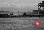 Image F6F Hellcat planes Bougainville Nouvelle Guinée, 1943, de la seconde 47 séquences d'archives historiques vidéo 65675053305