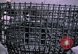 Standbild Minuteman II Rakete starten site Malmstorm Air Force Base Montana USA, 1965, aus Sekunde 49 historischem Filmmaterial Videoclip 65675053324