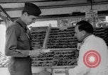Image of United States soldiers Copenhagen Denmark, 1945, second 60 stock footage video 65675053346