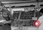 Image of United States soldiers Copenhagen Denmark, 1945, second 61 stock footage video 65675053346