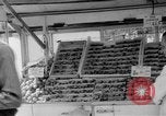 Image of United States soldiers Copenhagen Denmark, 1945, second 62 stock footage video 65675053346